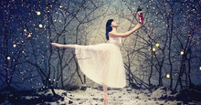 Photo for The Nutcracker