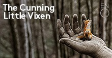 Photo for The Cunning Little Vixen