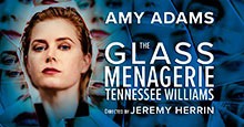 Photo for The Glass Menagerie