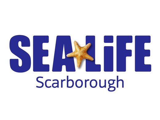 Sea Life Scarborough