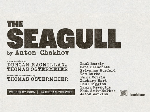 The Seagull