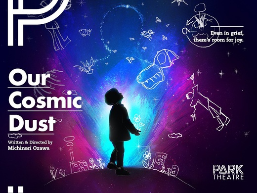 Our Cosmic Dust
