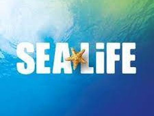 SEA LIFE New Jersey ADMISSION + VIRTUAL REALITY