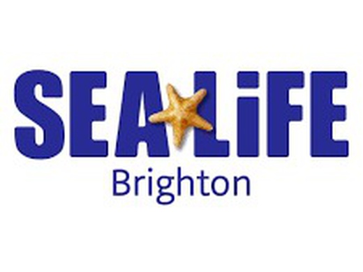 Sea Life Brighton Anytime Entry