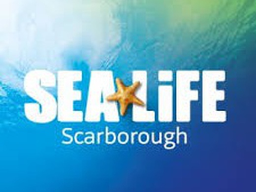 Sea Life Scarborough Anytime Entry