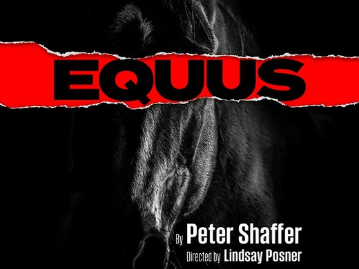 Equus