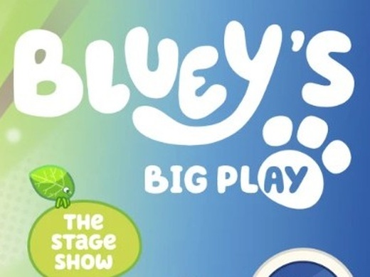 Bluey's Big Play