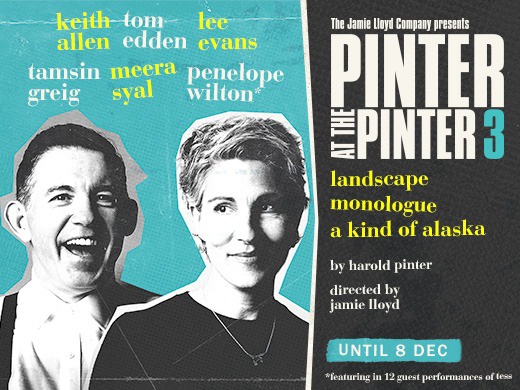 PINTER THREE - Landscape / A Kind of Alaska / Monologue