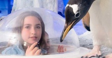 Photo for SEA LIFE London - Standard Entry